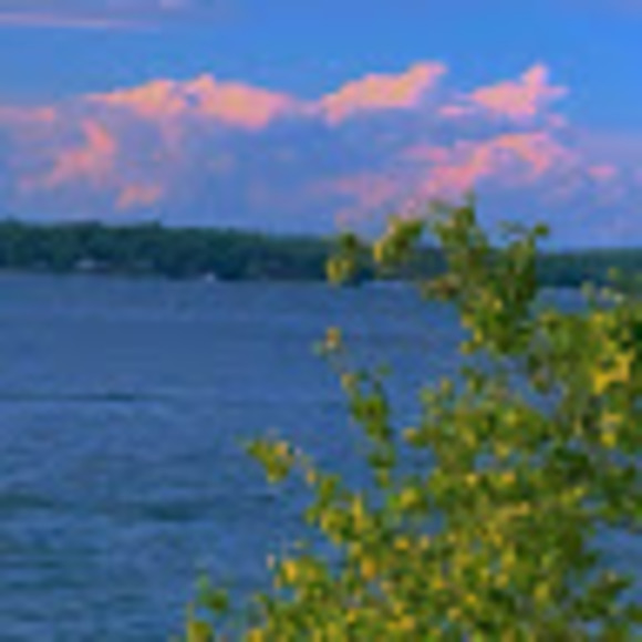 Meet your Posher, Emily - Picture 1 of 1